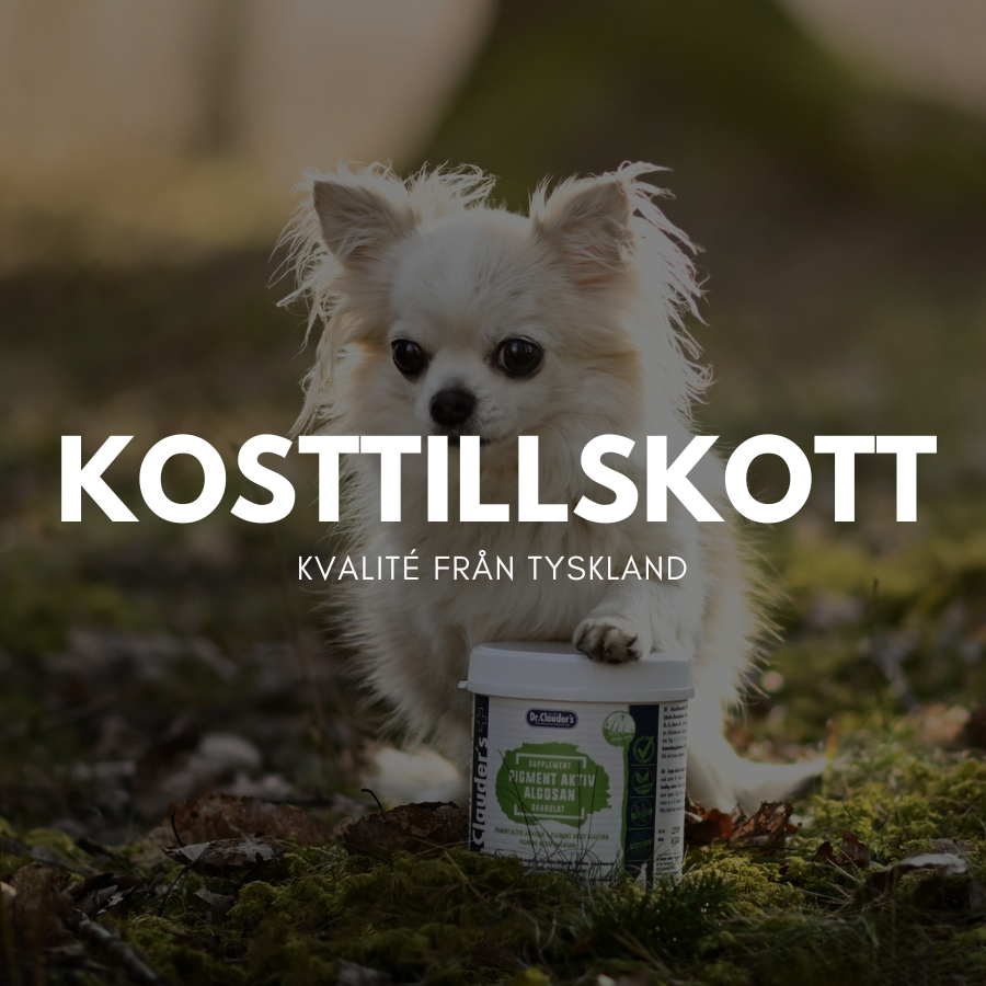 Kosttillskott