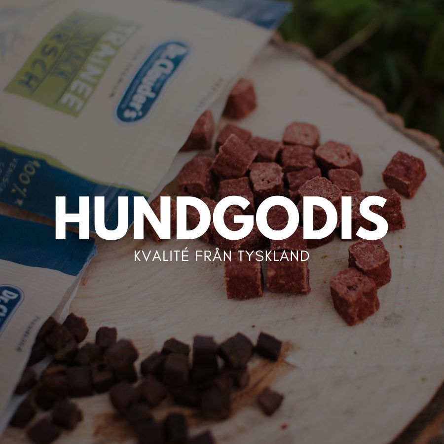 Hundgodis